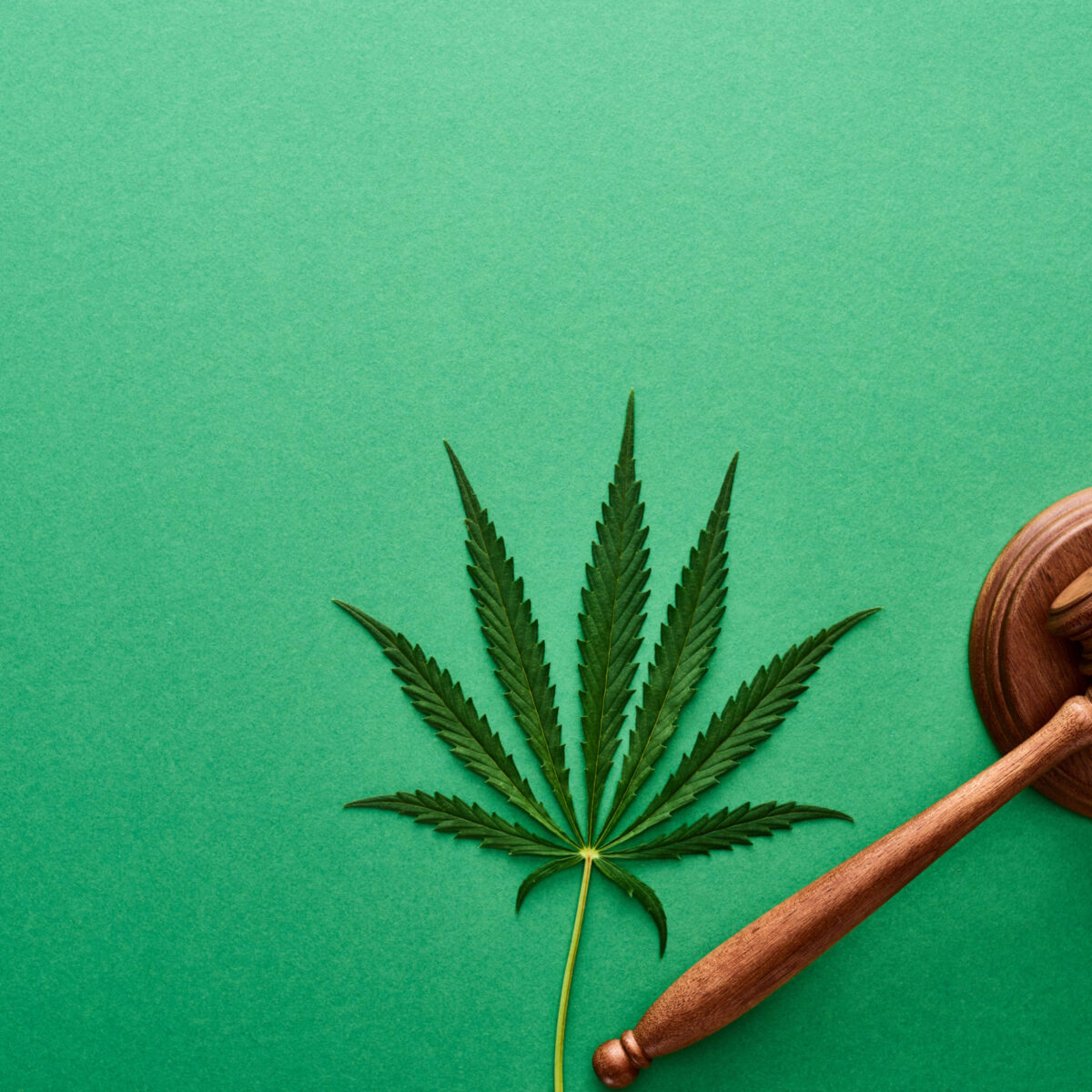 Cannabis Law