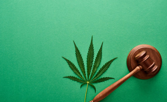 Cannabis Law