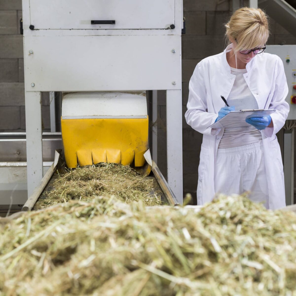 Cannabis GMP