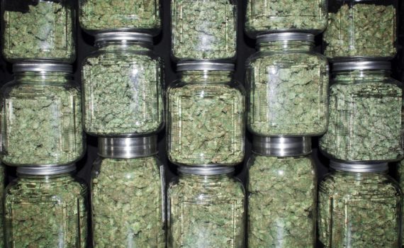 Cannabis Dispensary Inventory