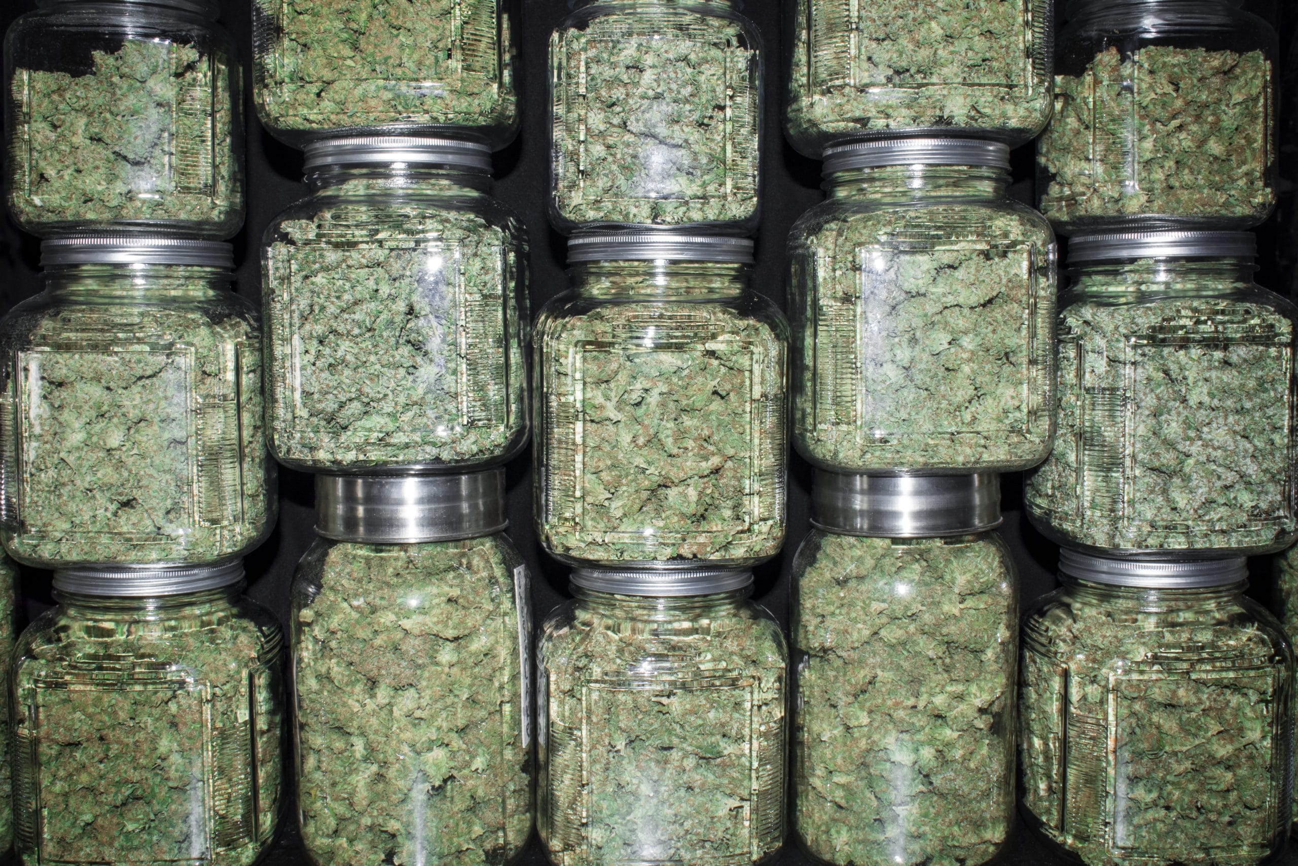Как хранить шишки марихуаны марихуаны на шри ланке