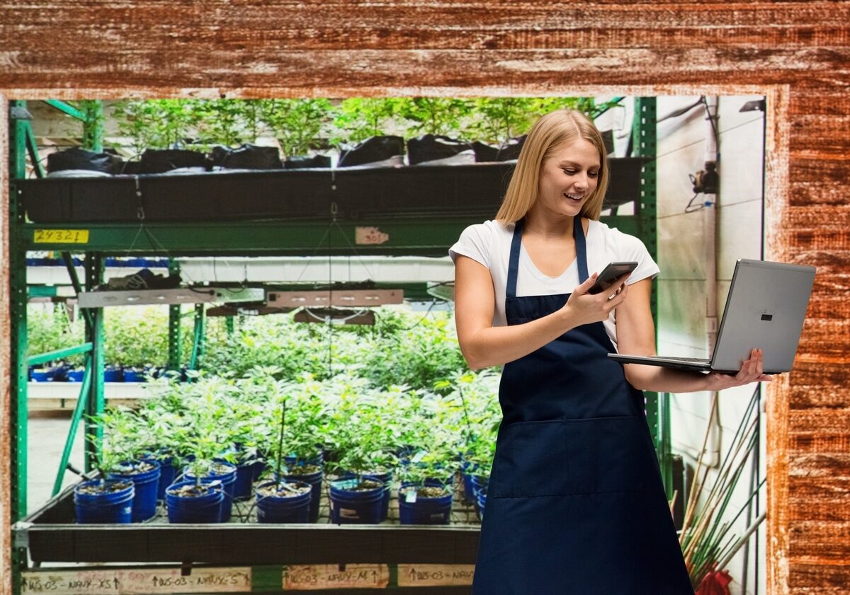 Cannabis Manufacturing Software