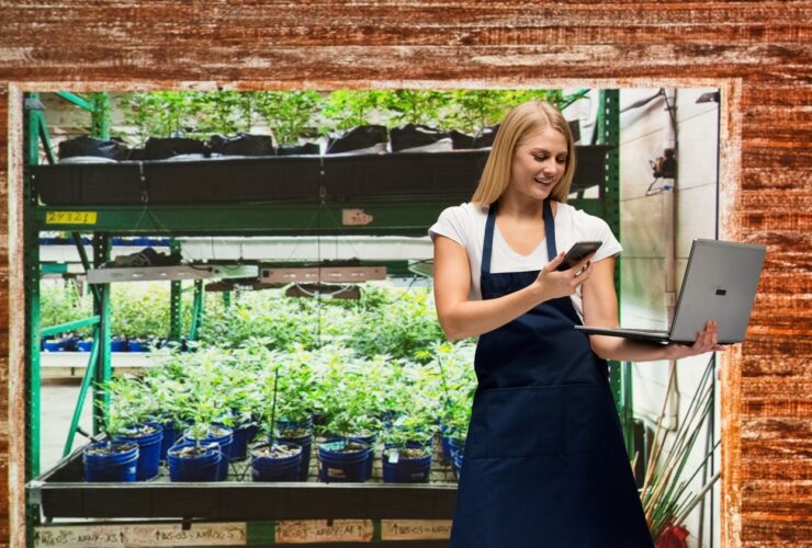 Cannabis Manufacturing Software