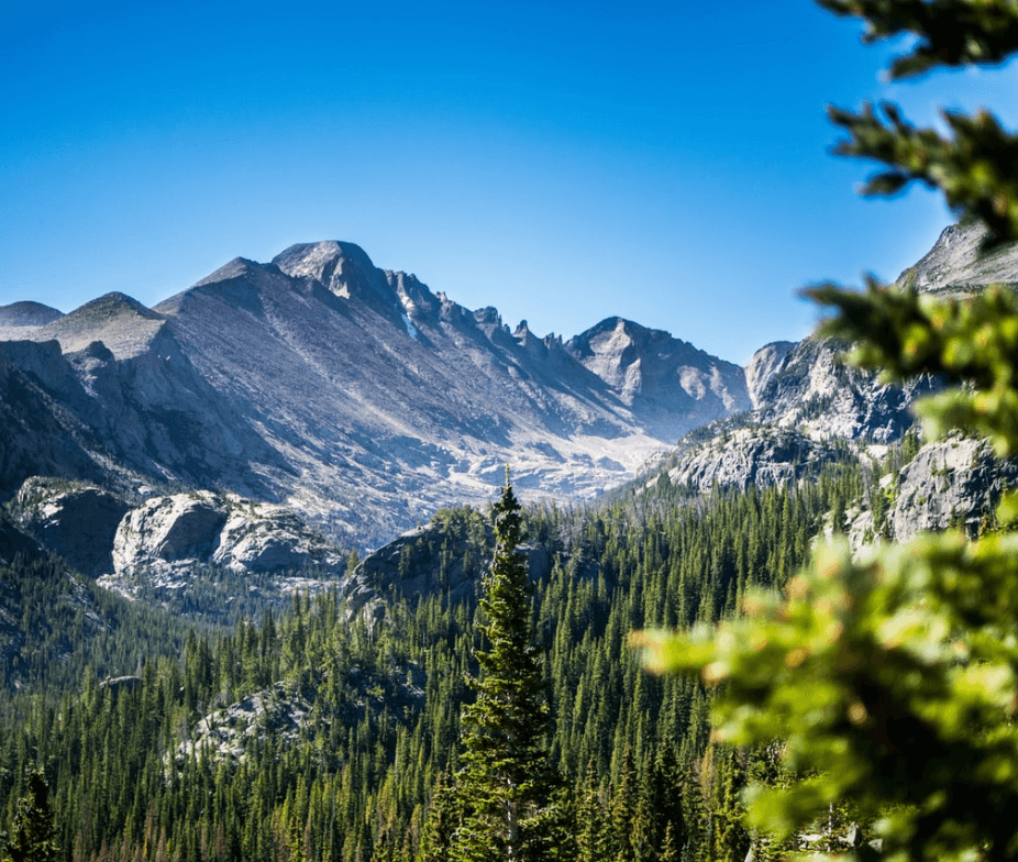 Colorado Seed to Sale, Seed To Sale Tracking