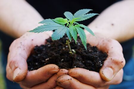 New York Seed-To-Sale Licenses & Software